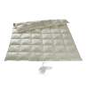Queen Eider Leichte Kassettendecke Pure Seide Paisley