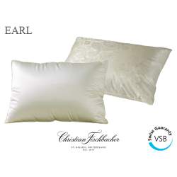 Earl 1-Chamber Pillow