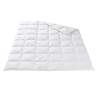 Aarau Duvet léger pour toute l'année en fibres synthétiques