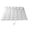 Basel Light Down Paneled Quilt Swiss Batist