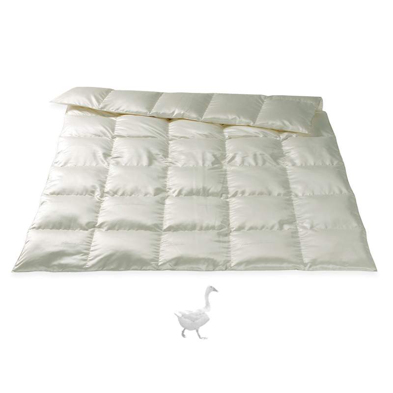 Luzern Down Paneled Quilt Pure Silk