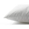 Billerbeck Edition Hayo cuscino di sogno